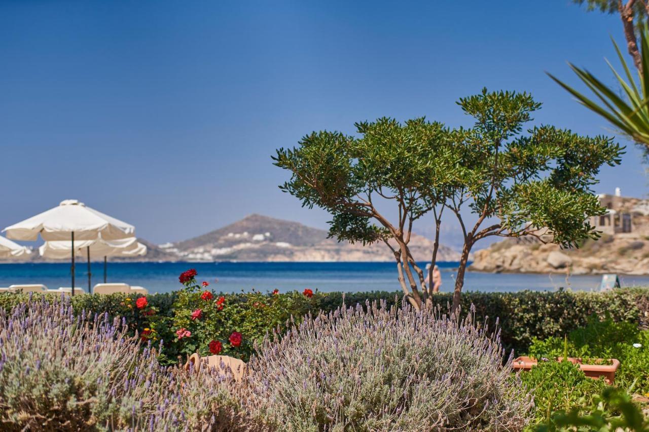 Kalergis Studios Naxos City Exterior photo